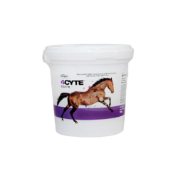 4CYTE™ Equine Granules