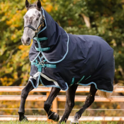 Amigo Bravo 12 Plus Medium Turnout