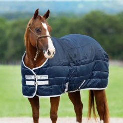 Amigo Insulator Plus Medium 200g