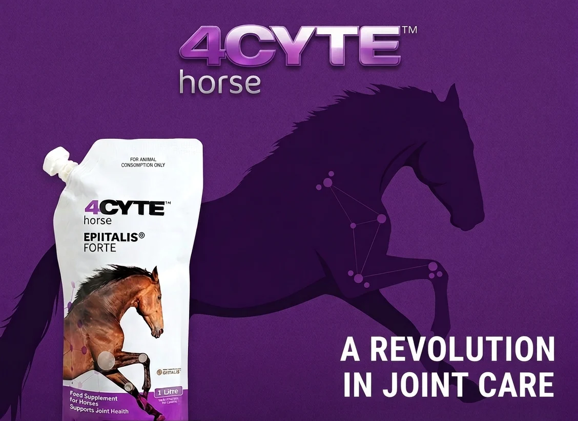 4Cyte for Horses