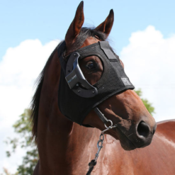 Equilume Curragh Replaceable