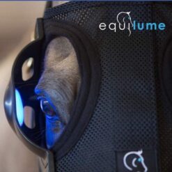 Equilume Belfield (seasonal)